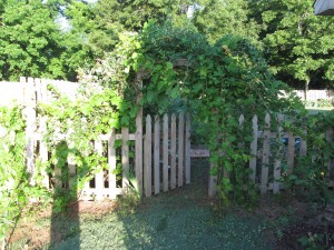 Porte d'jardin